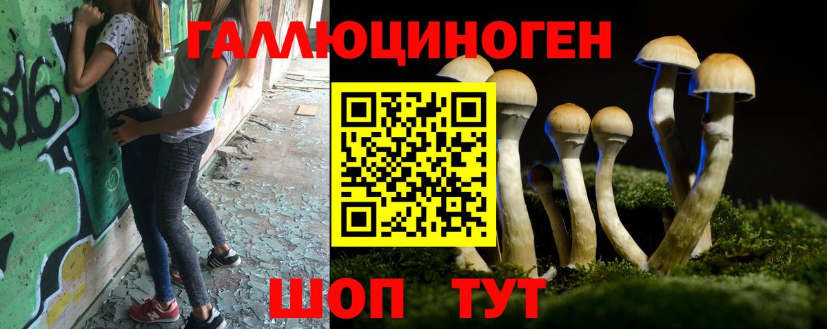 Галлюциногенные грибы Magic Shrooms  Вход с VPN  Железногорск  купить наркотики сайты  Галлюциногенные грибы Psilocybe 