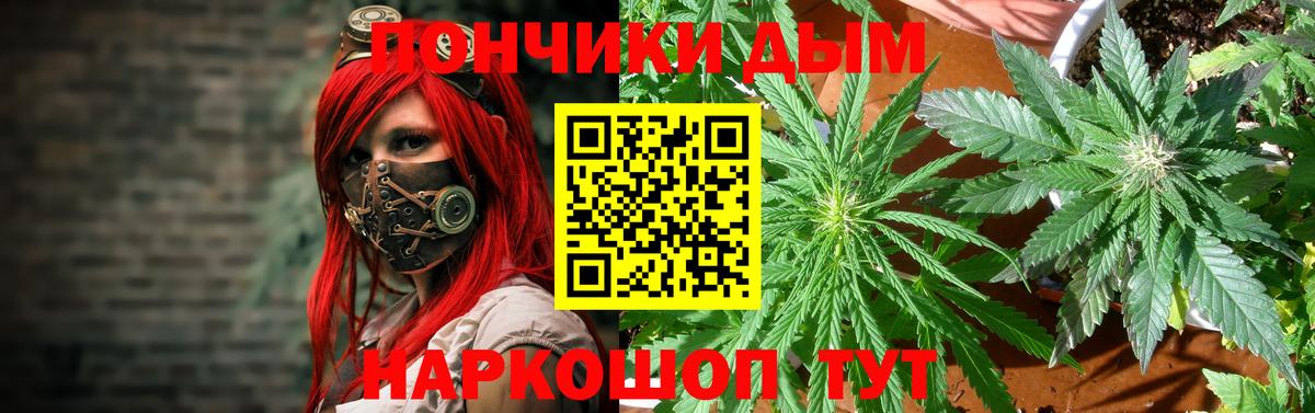 Конопля планчик Железногорск